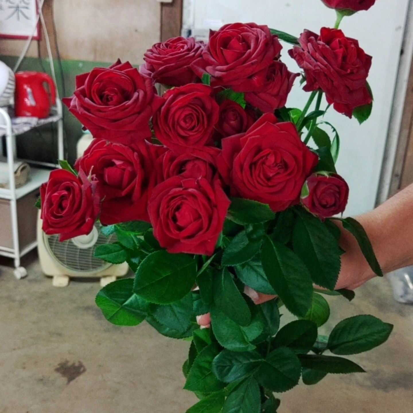 今日は、25年になる結婚記念日の花束を選びに、豊橋市老津町東