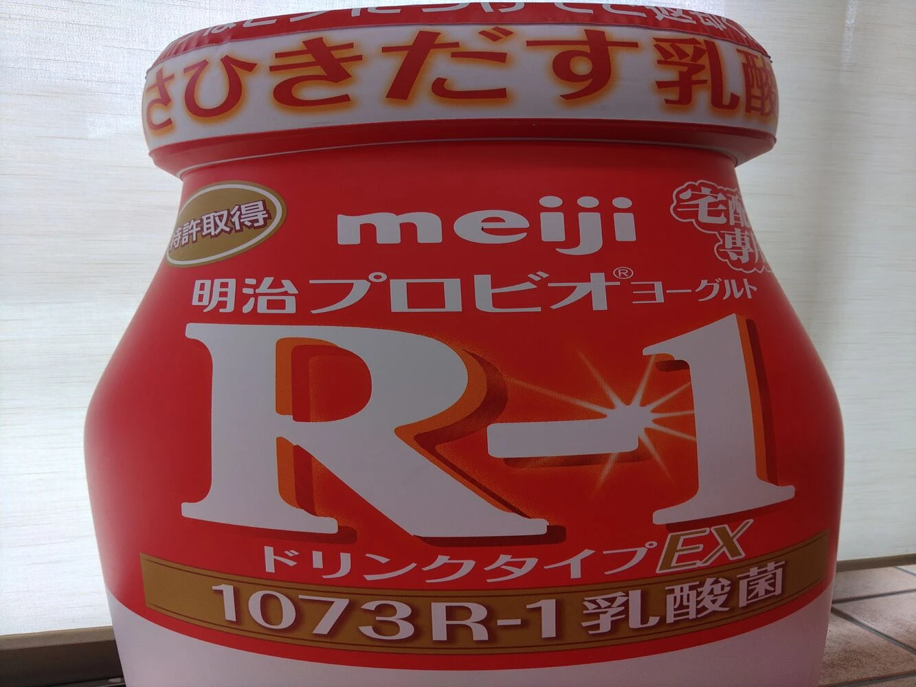 画像1527