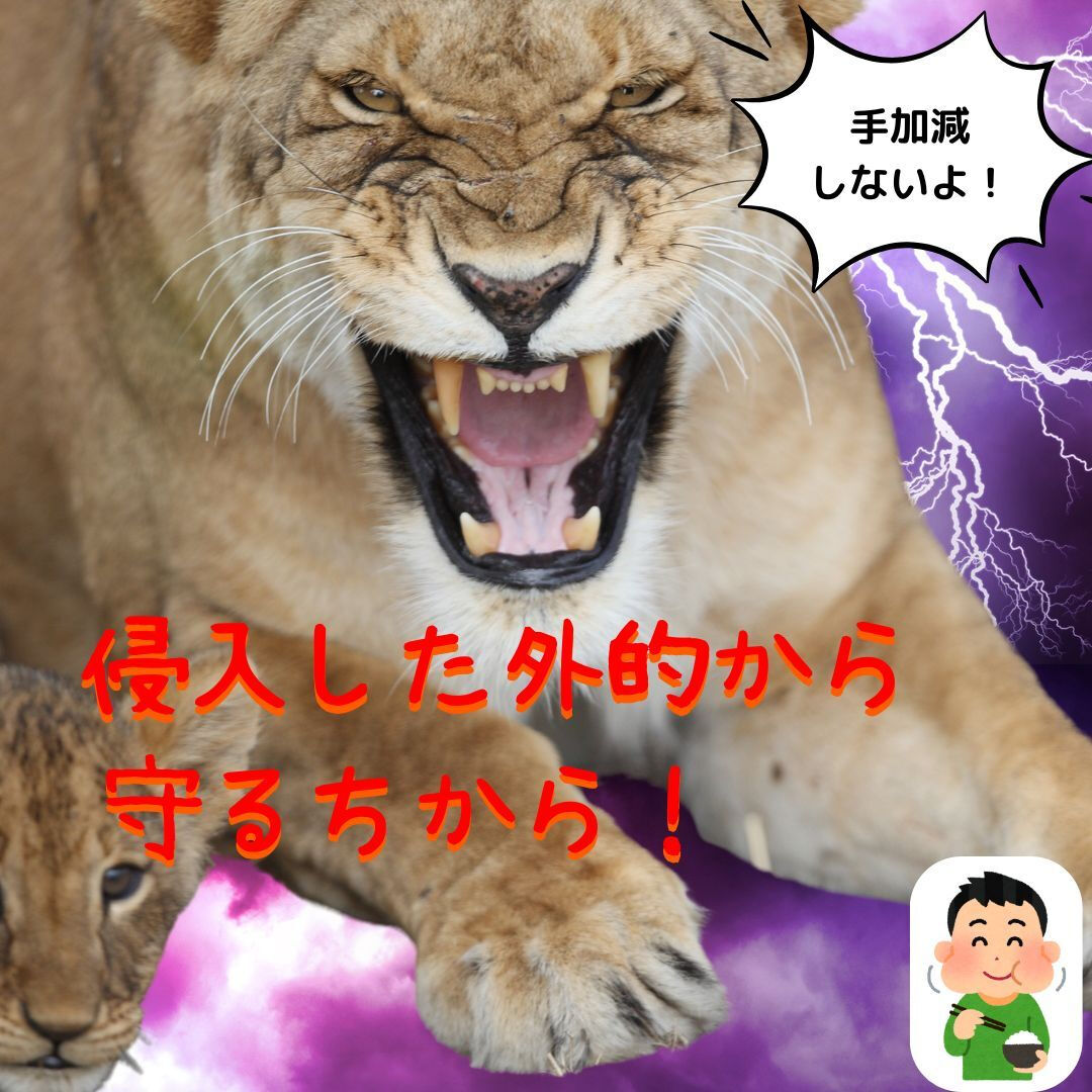 😊皆さん、こんにちは！丸八牛乳店の渡邉です！明日から12月で