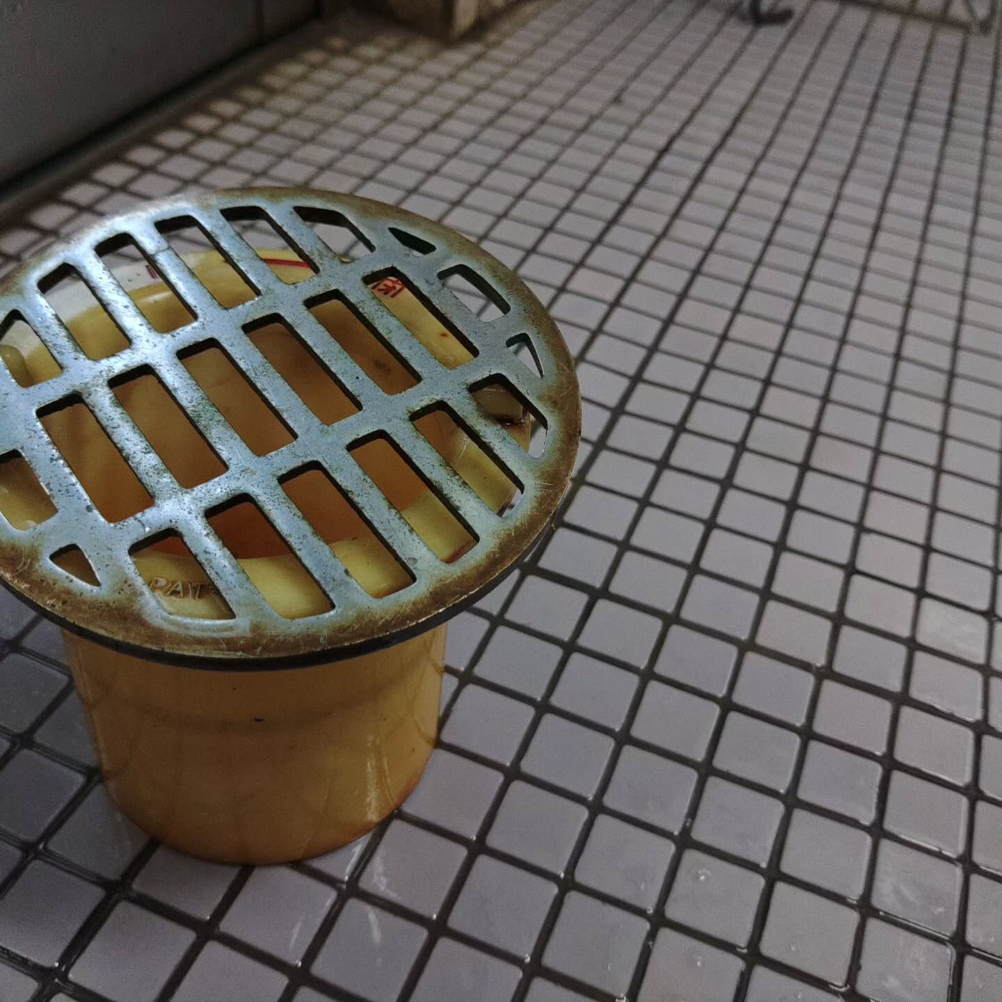 丸八氷店の渡邉です