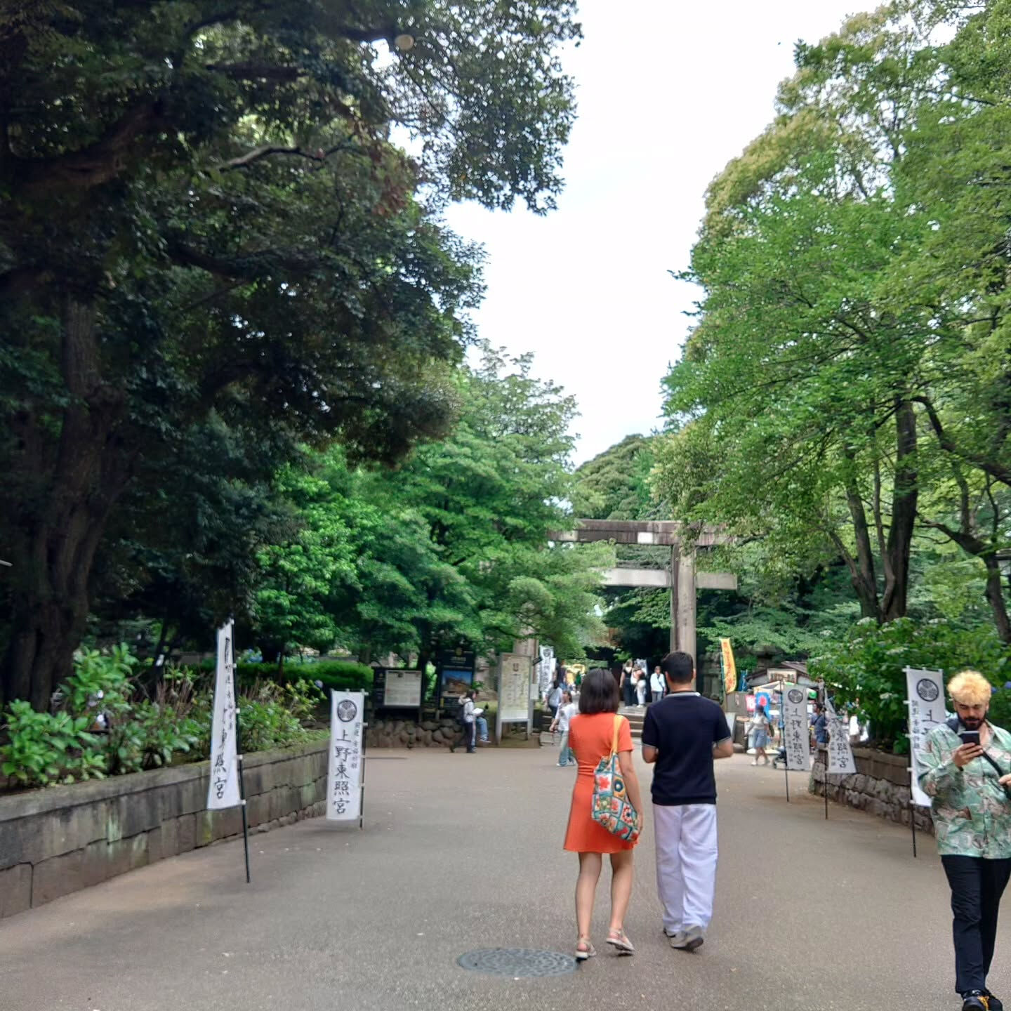 皆さん、こんにちは