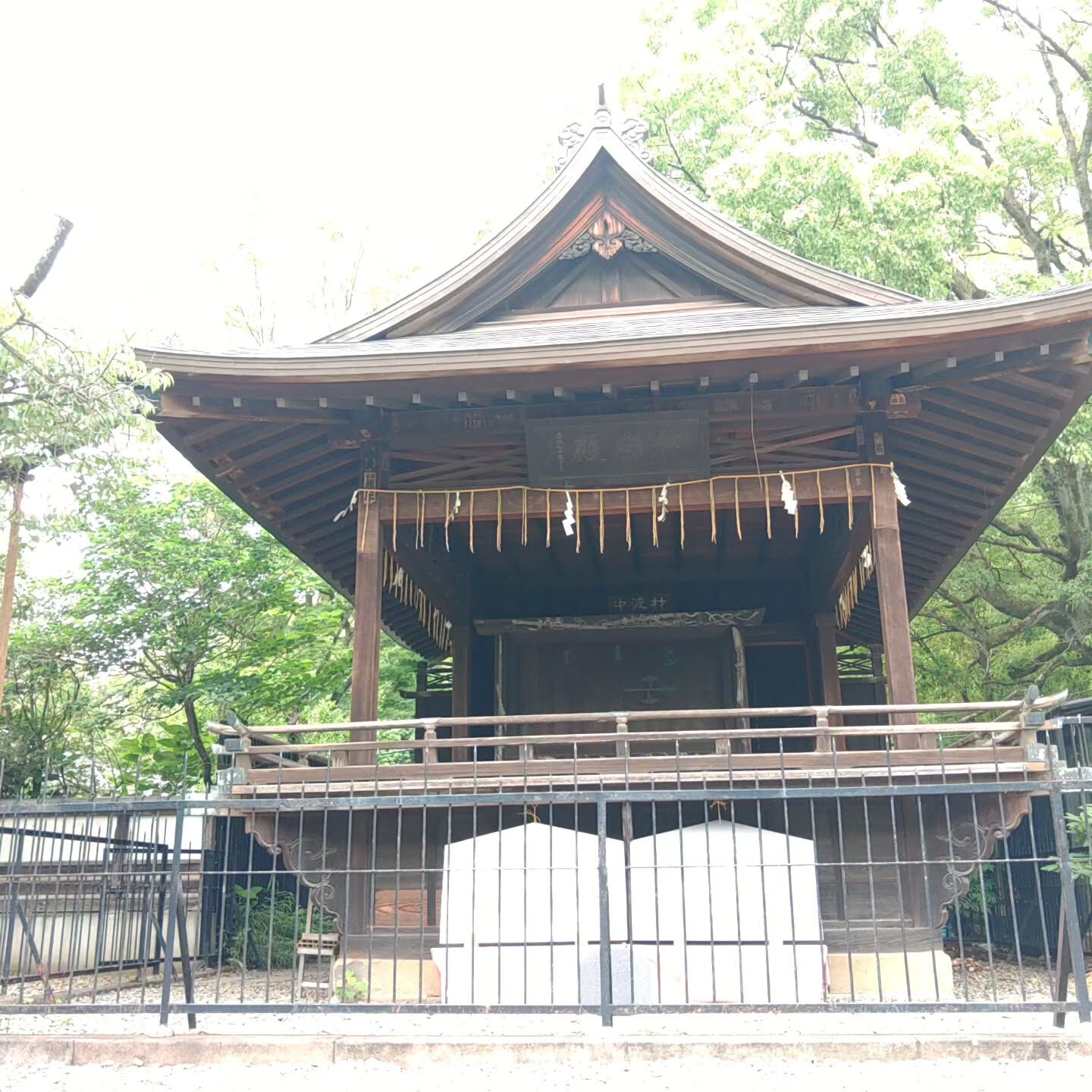 皆さん、こんにちは