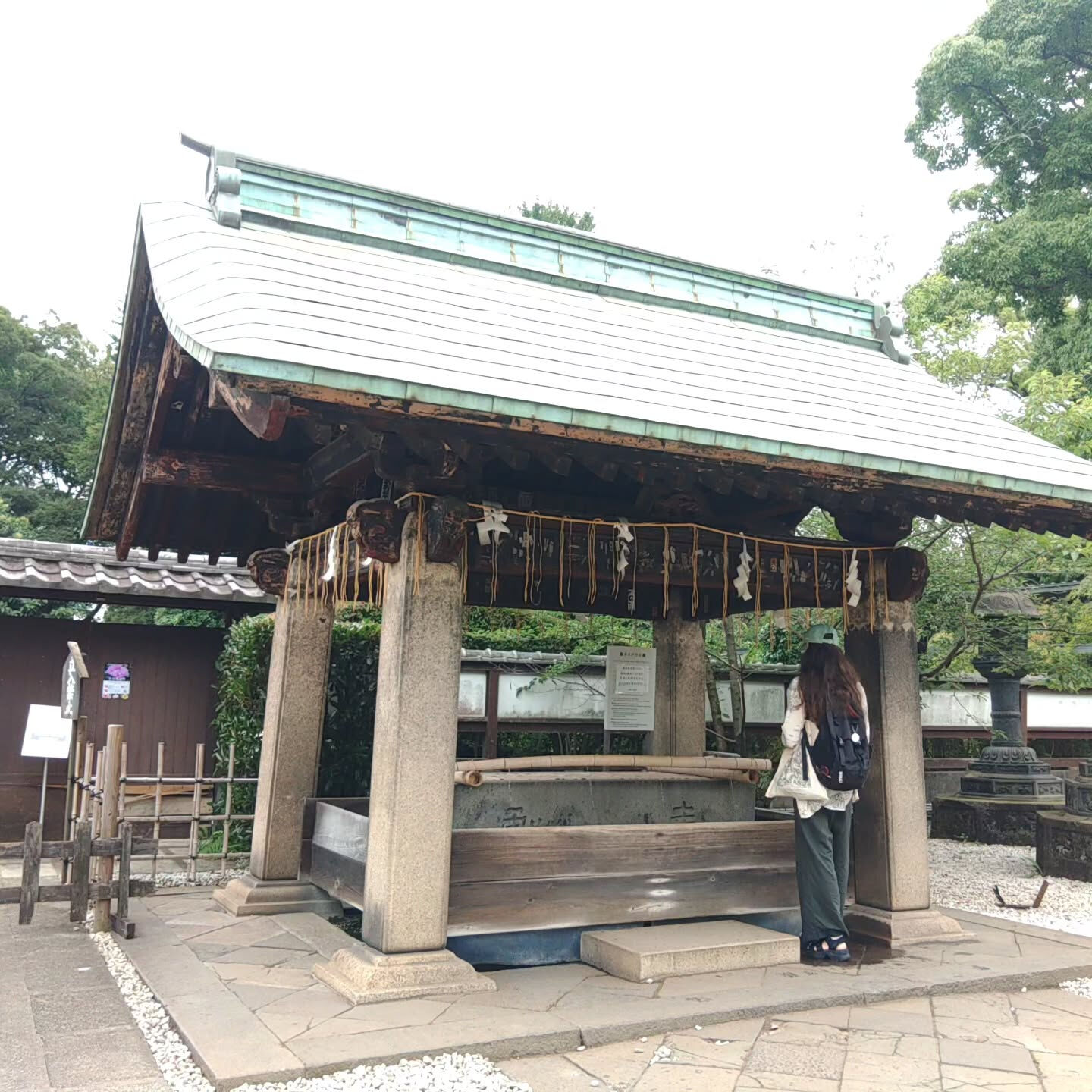 皆さん、こんにちは