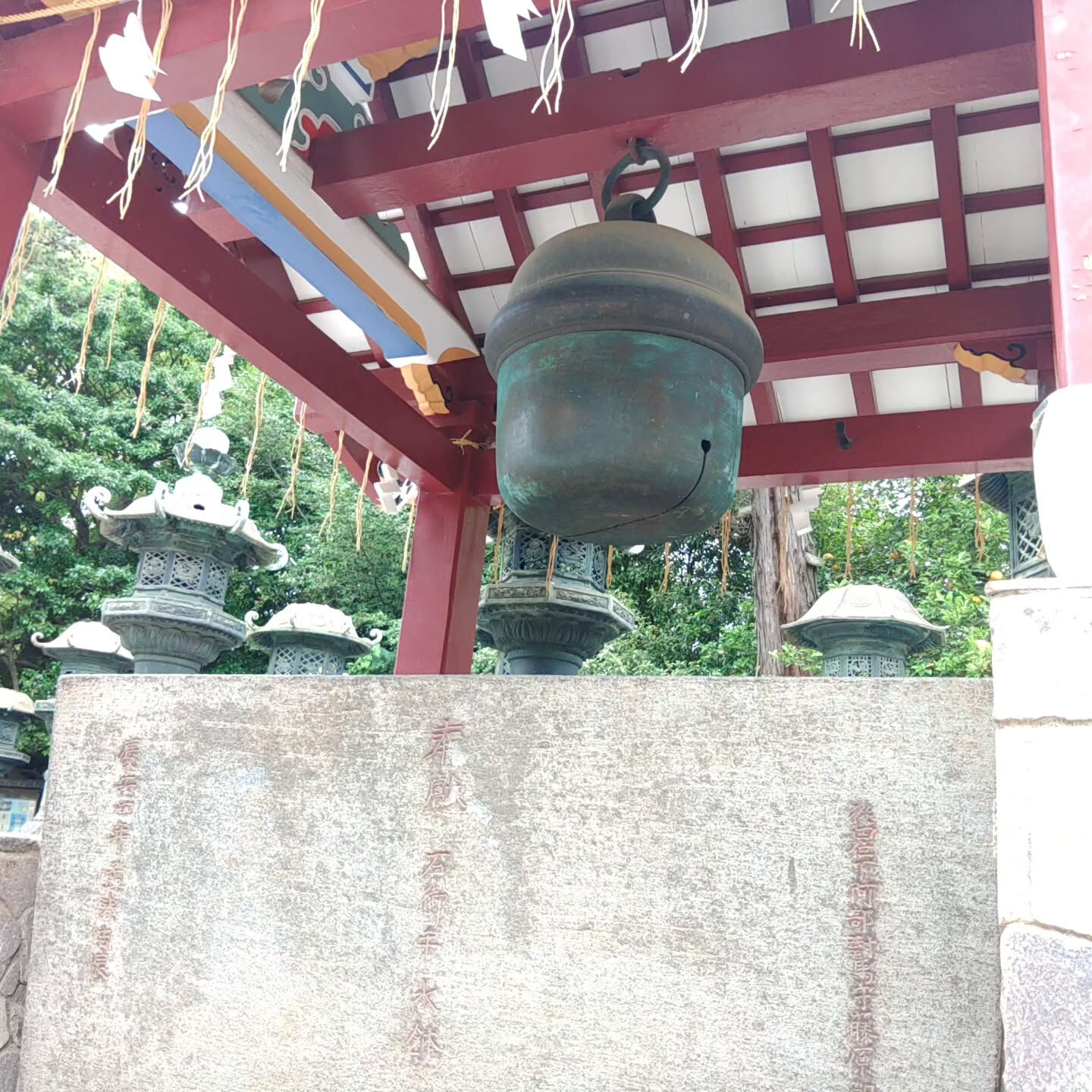 皆さん、こんにちは