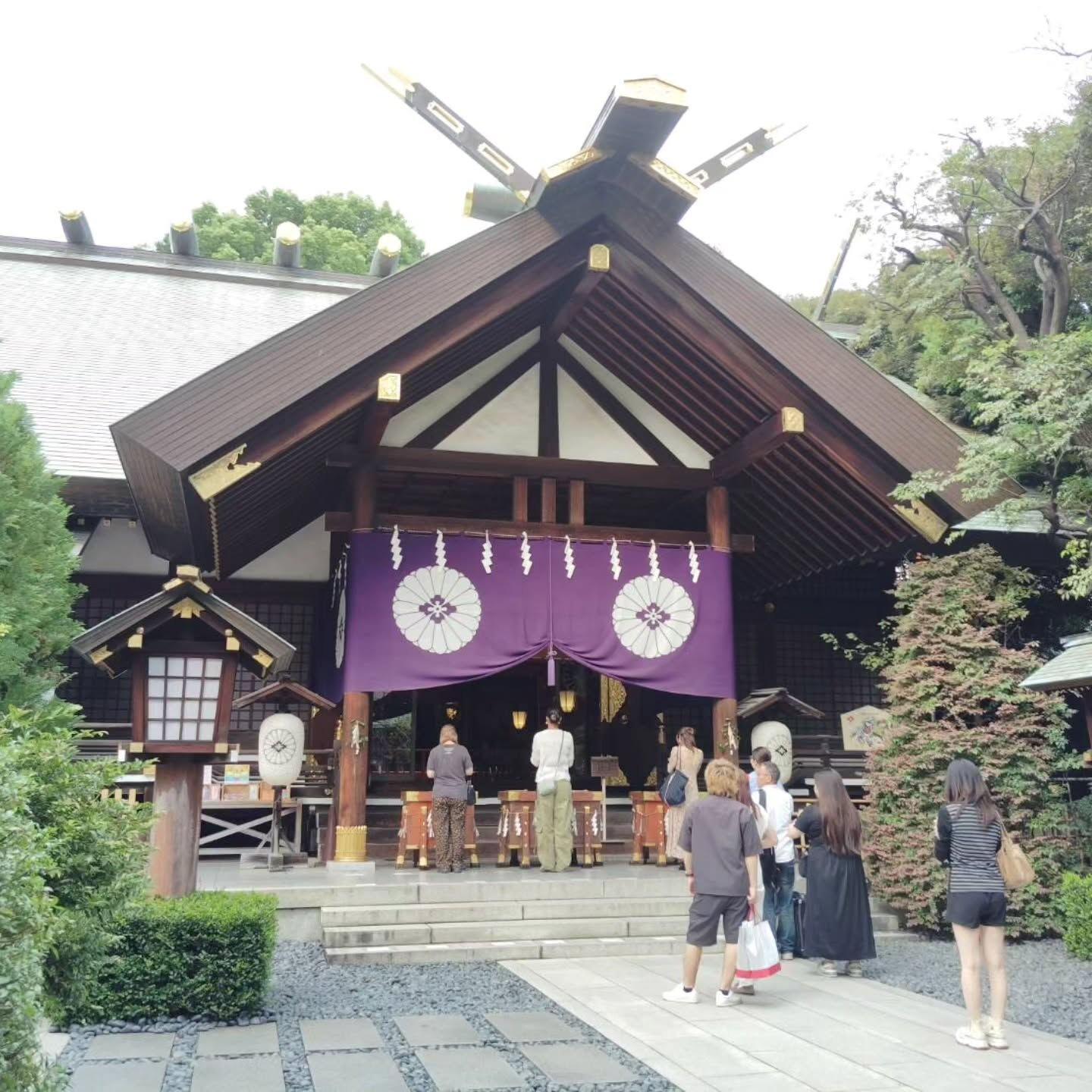 こんばんは